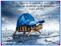 /album/fotogaleria-inicio/el-da-esfuerzo-al-cansado-y-mutiplica-las-fuerzas-al-que-no-tiene-ninguna-jpg/